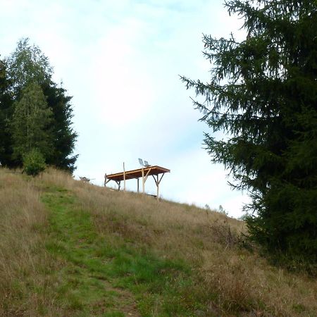 Ein Platz Fuer Ruhe Und Naturgenuss 세브니츠 외부 사진