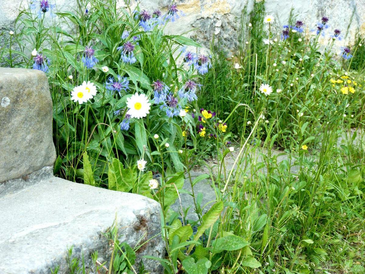 Ein Platz Fuer Ruhe Und Naturgenuss 세브니츠 외부 사진